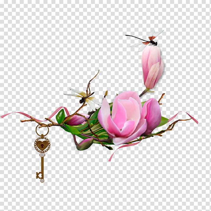 Drawing Of Family, Flower, Floral Design, Garden Roses, Magnolia, Cut Flowers, Petal, Still Life transparent background PNG clipart