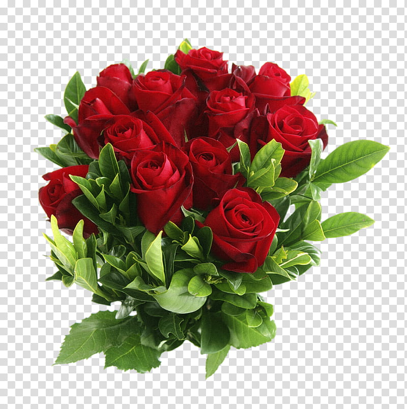 ROSES , red rose bouquet transparent background PNG clipart