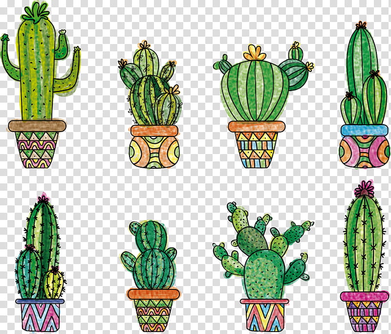 Cactus, Flowerpot, Plant, Houseplant, San Pedro Cactus, Saguaro, Terrestrial Plant, Succulent Plant transparent background PNG clipart