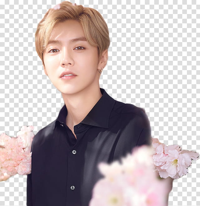 Luhan L Occitane en Provence, man in black button-up shirt transparent background PNG clipart