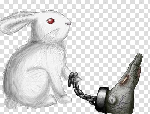 white rabbit with big foot illustration transparent background PNG clipart