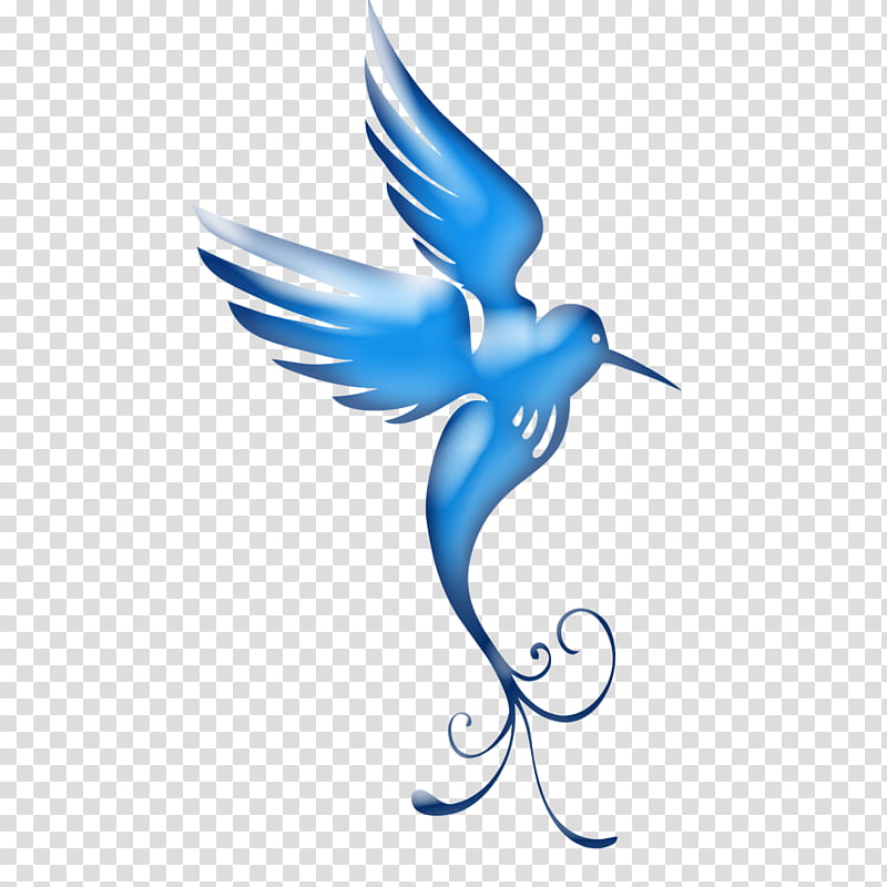 Swallow Bird, Silhouette, Tracing, Wing, Blue, Hummingbird, Logo, Beak transparent background PNG clipart