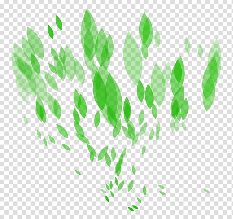 Green Leaf, Light, Color, Tutorial, Branch, Web Design, Plant, Grass transparent background PNG clipart
