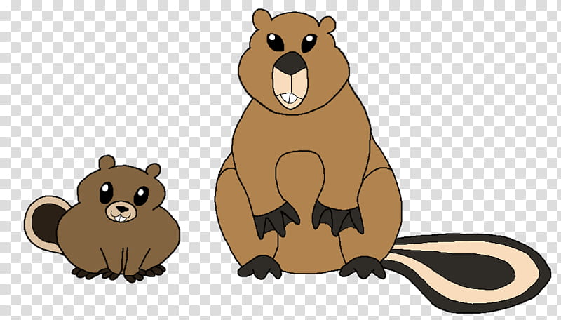 Beaver, Bear, Cat, Procyonidae, Cartoon, Snout, Wildlife, Groundhog transparent background PNG clipart