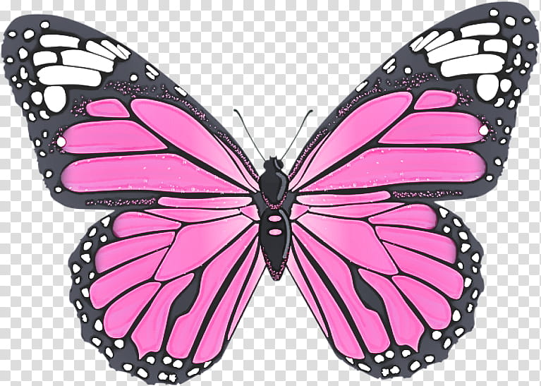 Monarch butterfly, Moths And Butterflies, Insect, Cynthia Subgenus, Pink, Pollinator, Brushfooted Butterfly, Viceroy Butterfly transparent background PNG clipart