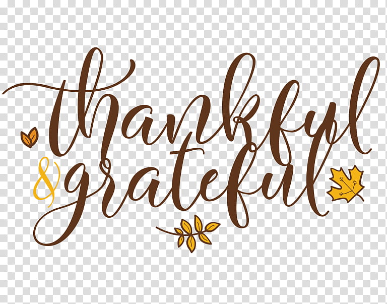 Thanksgiving, Holiday, Text, Logo, Gratitude, Microsoft Word, College, Calligraphy transparent background PNG clipart