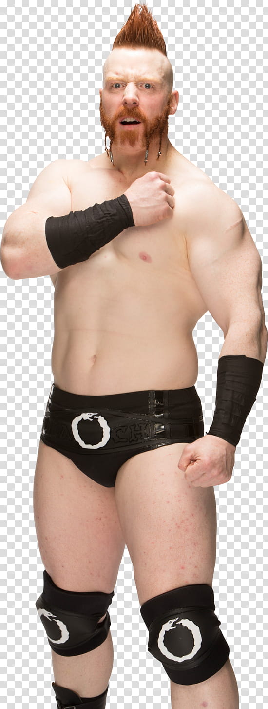 Sheamus Renders  transparent background PNG clipart