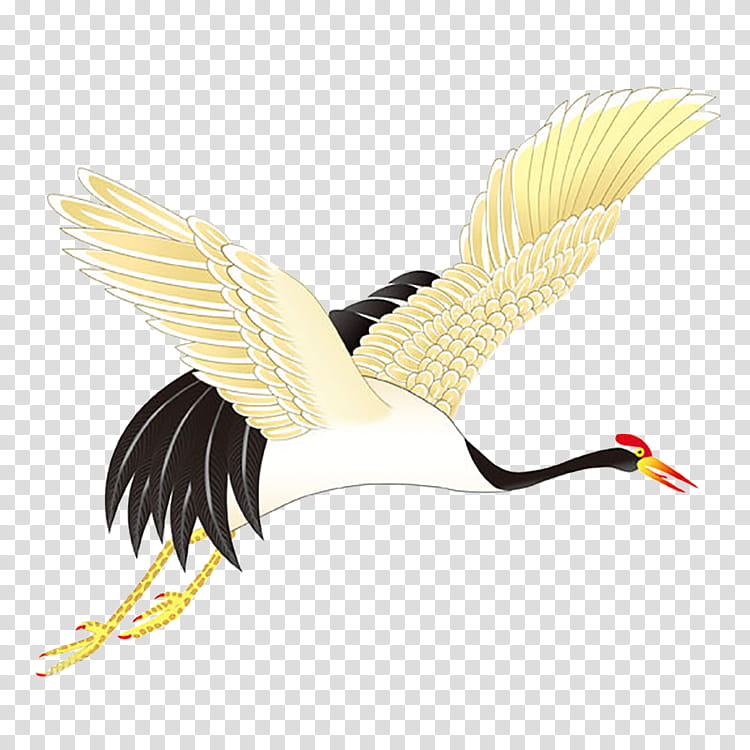 Crane Bird, Redcrowned Crane, Grey Crowned Crane, Siberian Crane, Black Crowned Crane, Animal, Painting, Crowned Cranes transparent background PNG clipart