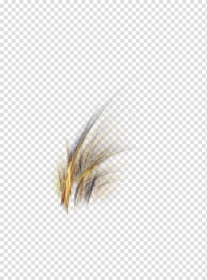 Fractal  Fantasy Grass And Parameter, brown plant illustration transparent background PNG clipart