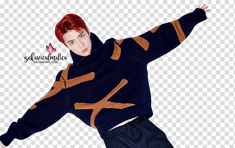 EXO Sehun ARENA HOMME transparent background PNG clipart