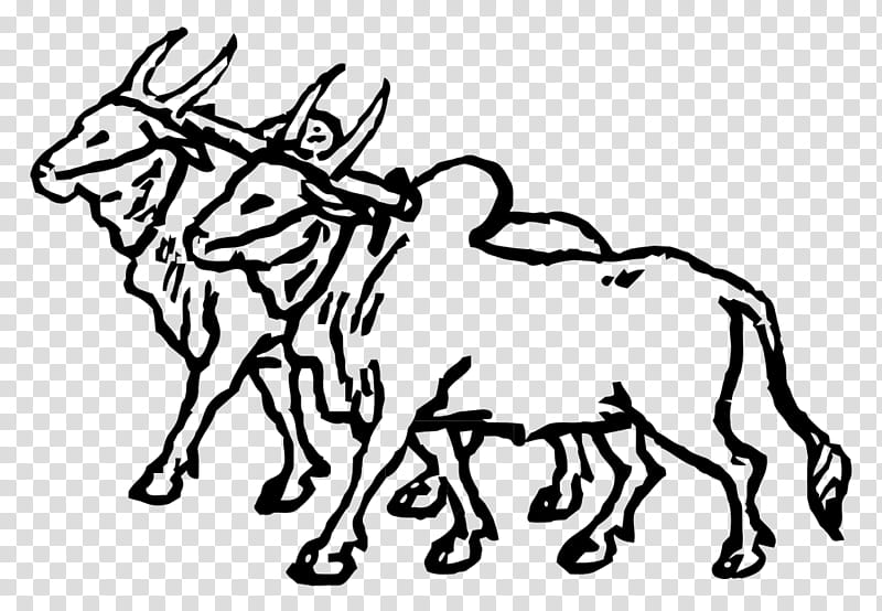 Drawing Of Family, Ox, Mule, Bullock Cart, Cattle, Coloring Book, Line Art, Bovine transparent background PNG clipart