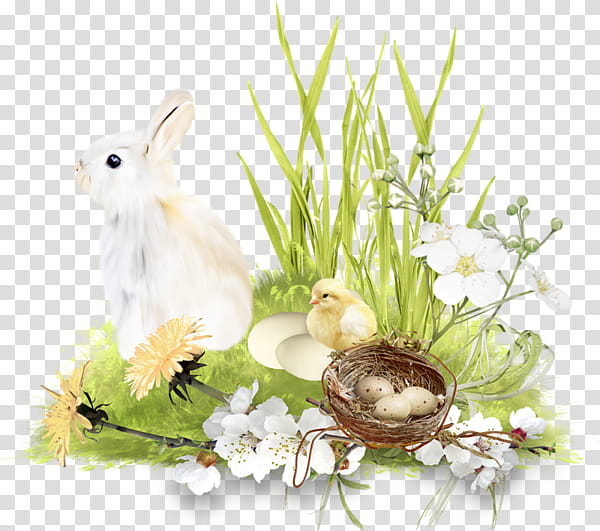 Easter Egg, Easter Bunny, Easter
, Easter Basket, Scrapbooking, Rabbit, Chocolate Bunny, Christmas Day transparent background PNG clipart