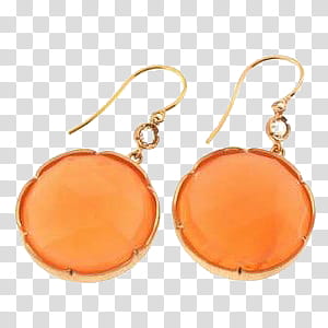 ORANGES oh my, pair of round orange hook earrings transparent background PNG clipart