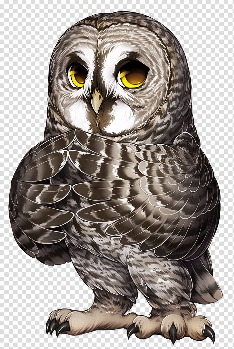 owl bird bird of prey great grey owl western screech owl, Great Horned Owl, Beak, Wildlife, Eastern Screech Owl transparent background PNG clipart