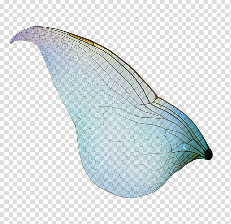 FAERY WINGS  All Things Precious transparent background PNG clipart