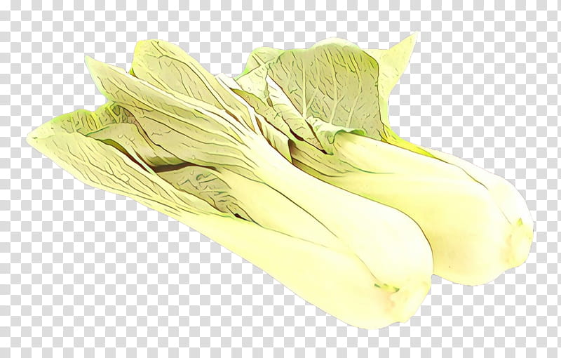 vegetable leaf vegetable food chinese cabbage plant, Romaine Lettuce transparent background PNG clipart