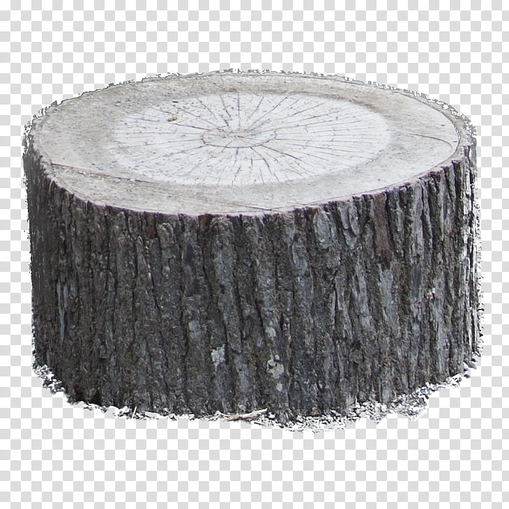 Tree Stump, gray tree log transparent background PNG clipart