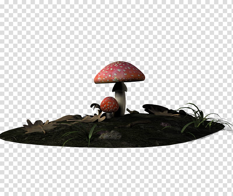 E S Mushrooms II Fairy Rings, orange mushroom transparent background PNG clipart