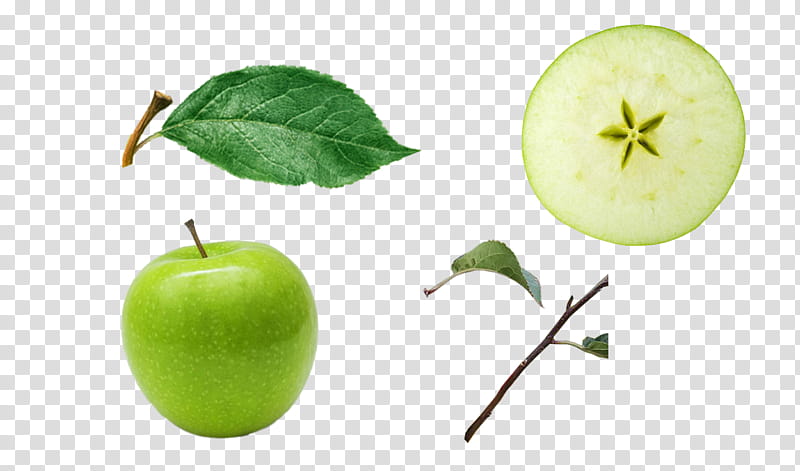 Green apple and apple slice, green apple illustration transparent background PNG clipart