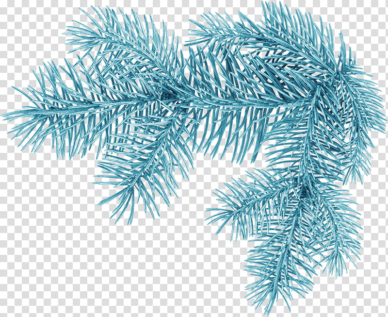 Christmas Black And White, Branch, Tree, Winter
, Twig, Snow, Christmas Tree, Christmas Day transparent background PNG clipart
