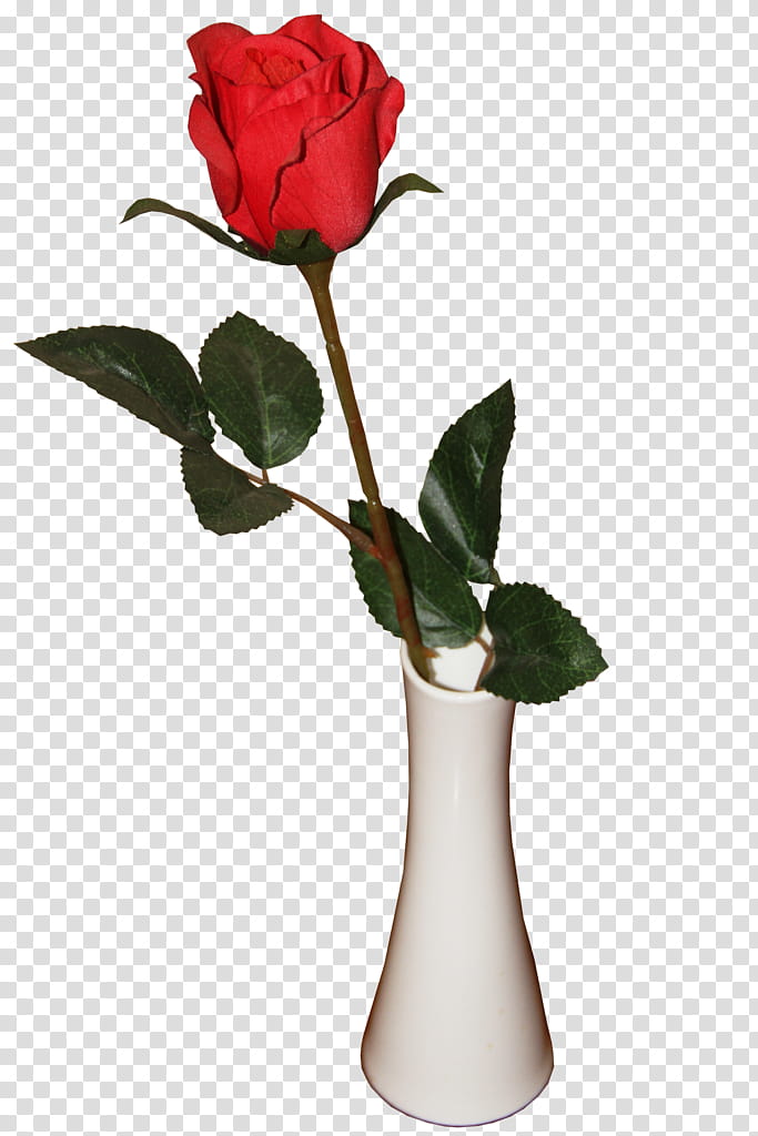 Floral Flower, Vase, Garden Roses, Beach Rose, Pink, Gratis, Red, Plants transparent background PNG clipart
