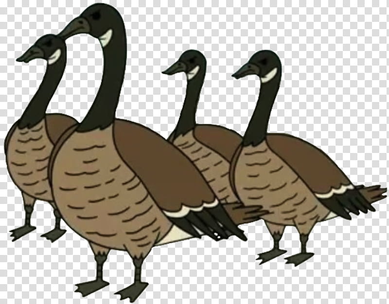 Duck, Goose, Regular Show Season 4, Grey Geese, Cartoon, Rigby, Animation, Video transparent background PNG clipart