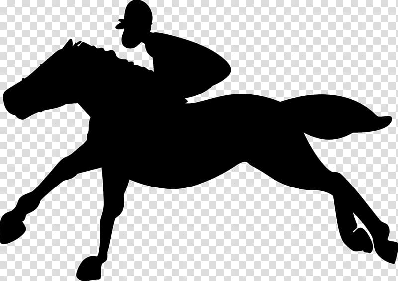 Horse, Mustang, English Riding, Rein, Bridle, Stallion, Colt, Equestrian transparent background PNG clipart