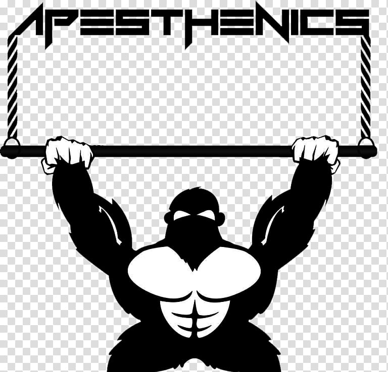 Park, Ostwestfalenlippe, Calisthenics, Street Workout, Fitness Centre, North Rhinewestphalia, Europe, Germany transparent background PNG clipart