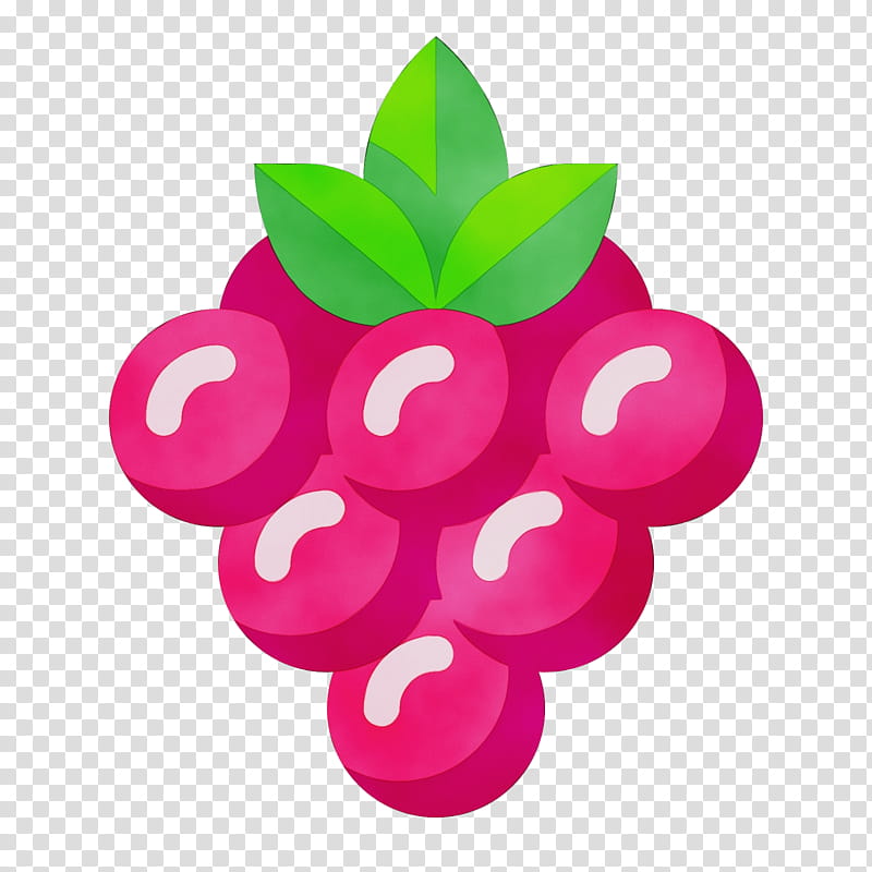 Pink Flower, Berries, Raspberry, Food, Blueberry, Leaf, Violet, Fruit transparent background PNG clipart