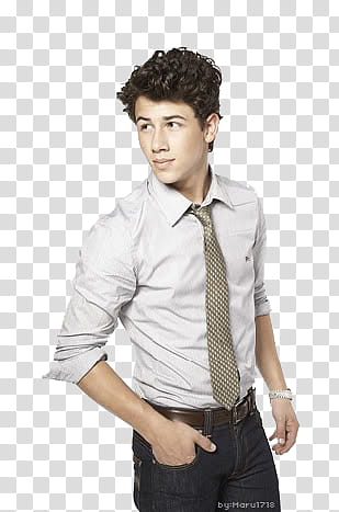 Jonas , man wearing white dress shirt, brown necktie, and black bottoms transparent background PNG clipart