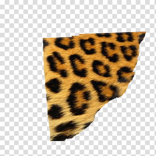 Splatter Pattern S, brown and black leopard textile transparent background  PNG clipart