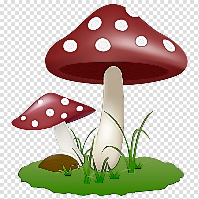 mushroom agaric fungus agaricaceae agaricomycetes, Plant transparent background PNG clipart