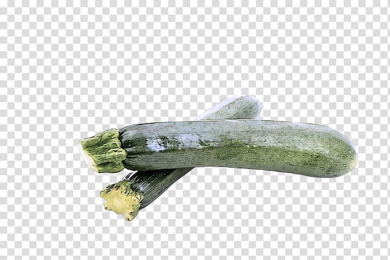 vegetable plant zucchini luffa food transparent background PNG clipart