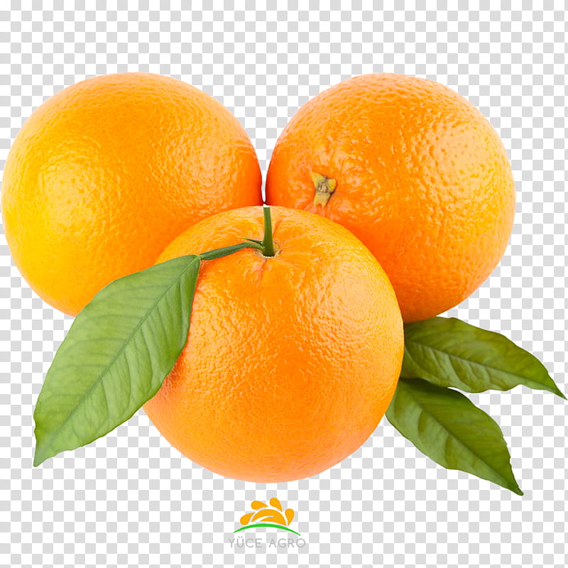 Cartoon Lemon, Orange, Citrus, Fruit, Tangerine, Mandarin Orange, Valencia Orange, Food transparent background PNG clipart