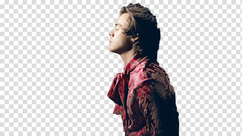 Harry Styles DulceEditions transparent background PNG clipart