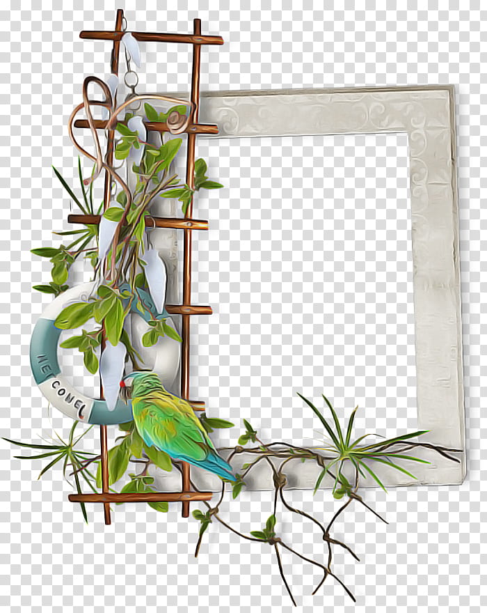 Flower Background Frame, Frames, Floral Design, Plant, Aquarium Decor, Twig, Ivy transparent background PNG clipart