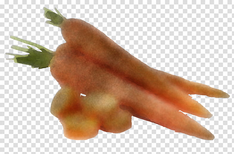 carrot asparagus hand finger vegetable, Food, Root Vegetable, Plant, Dish, Baby Carrot transparent background PNG clipart