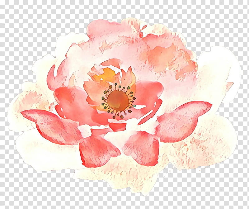 Watercolor Pink Flowers, Window, Attic, Rose, Building, Floral Design, Room, Watercolor Paint transparent background PNG clipart