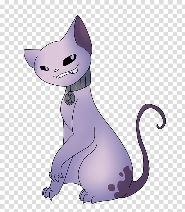 Kat transparent background PNG clipart