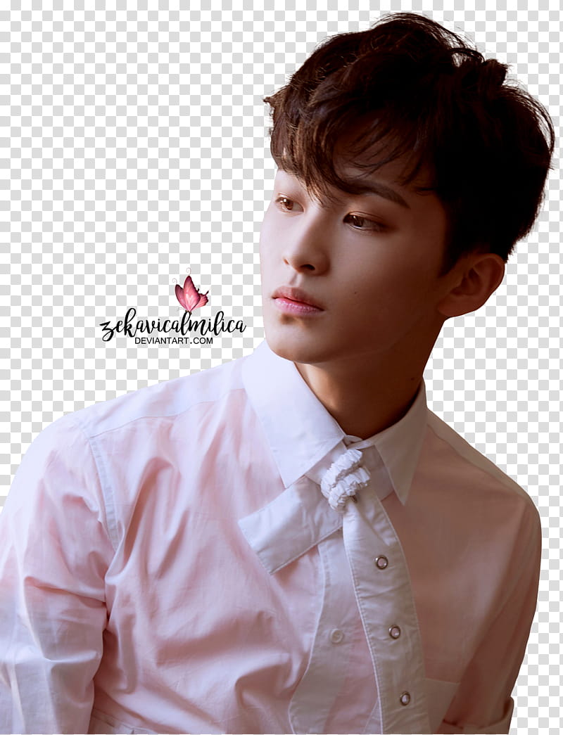 NCT  Regular Irregular, man wearing white and pink button-up dress shirt transparent background PNG clipart