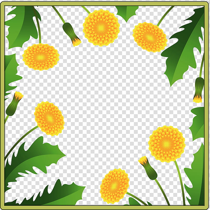 Dandelion frame flower frame floral frame, Chamomile, Yellow, Mayweed, Plant, Camomile, Wildflower, Daisy Family transparent background PNG clipart