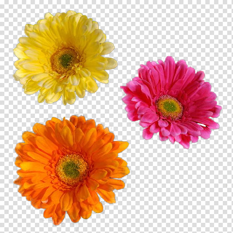 Flower  Clear Cut, yellow, pink, and orange flowers transparent background PNG clipart