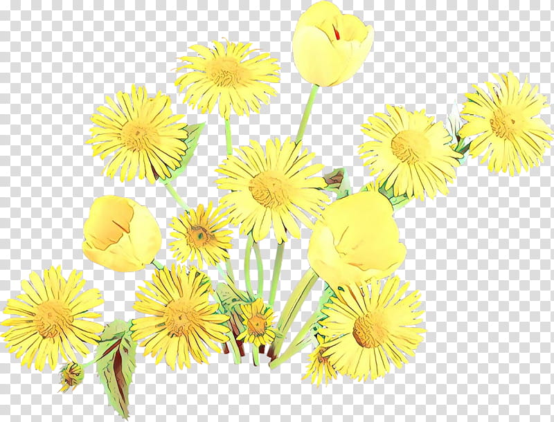 Daisy, Cartoon, Flower, Yellow, Chamomile, Dandelion, Plant, Cut Flowers transparent background PNG clipart