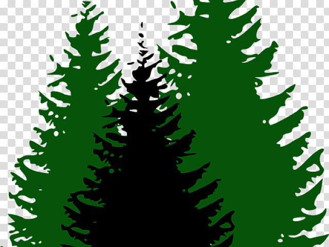 Christmas Tree Silhouette, Christmas, Christmas Day, Oak, Shortleaf Black Spruce, Balsam Fir, Yellow Fir, Colorado Spruce transparent background PNG clipart