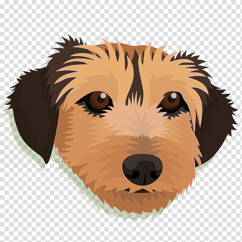 Dog Paw, Puppy, Retriever, Whiskers, Snout, Puppy Love, Breed, Crossbreed transparent background PNG clipart