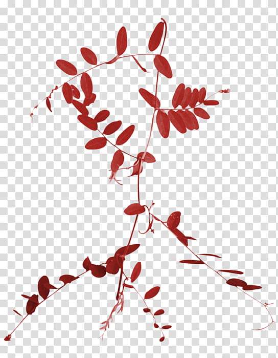 Green Leaf, Twig, Branch, Plants, Red, Tree, Calameae, Plant Stem transparent background PNG clipart