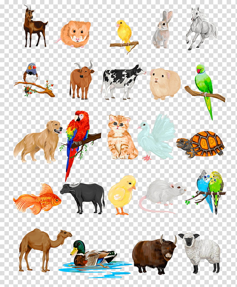Cartoon Cat, Pet, Domestic Animal, Drawing, Tame Animal, Animal Figure, Wildlife, Adaptation transparent background PNG clipart
