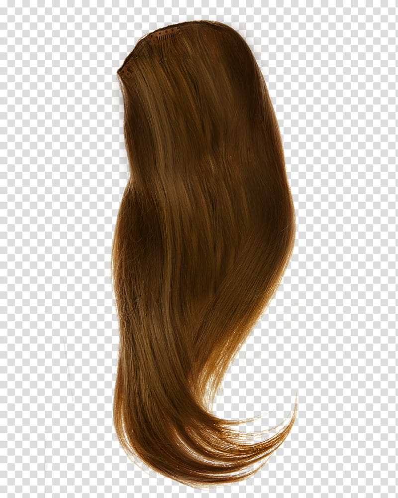 Hair, brown wig transparent background PNG clipart