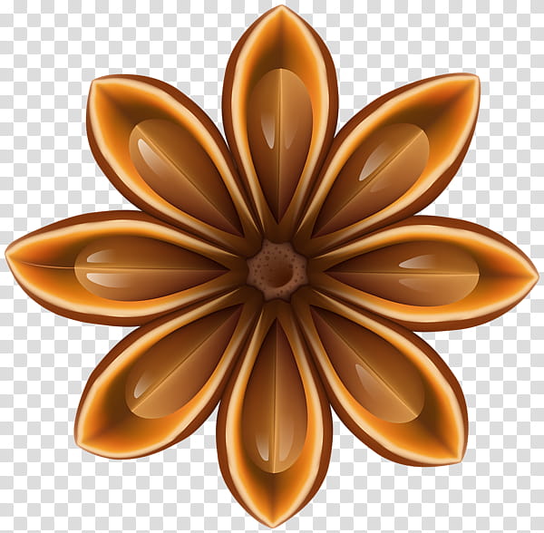 Star Drawing, Star Anise, Logo, Petal, Flower, Symmetry transparent background PNG clipart