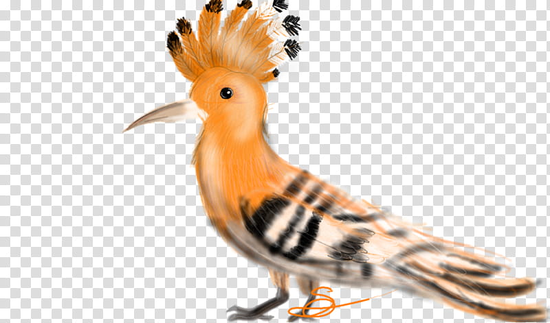Bird Wing, Beak, Art Of Painting, Eurasian Hoopoe, Drawing, Animal, Feather, Artist transparent background PNG clipart